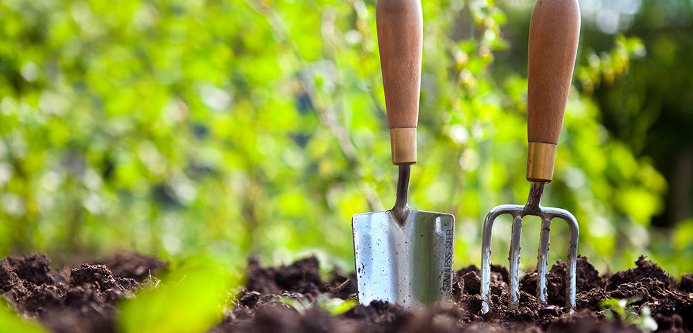 serviços de jardinagem